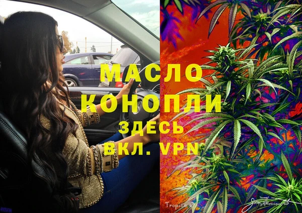 тгк Нея