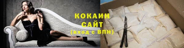 тгк Нея