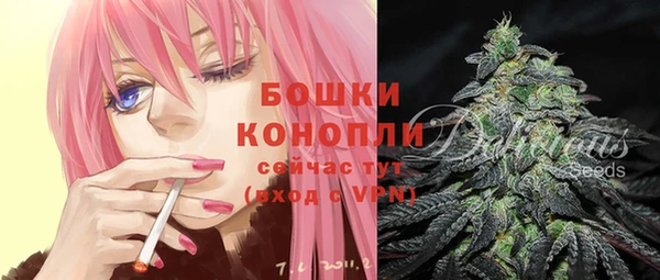тгк Нея